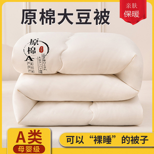 通用 被单双人四季 大豆纤维被子冬被棉被芯学生宿舍夏季 春秋冬季