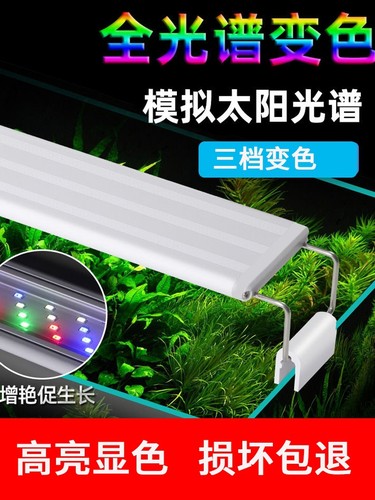 纯白变色全光谱六排高亮养水草
