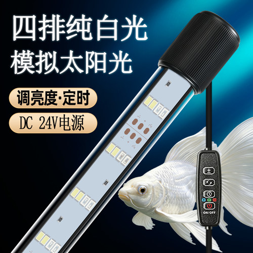 紫山斗海照明灯白光纯白