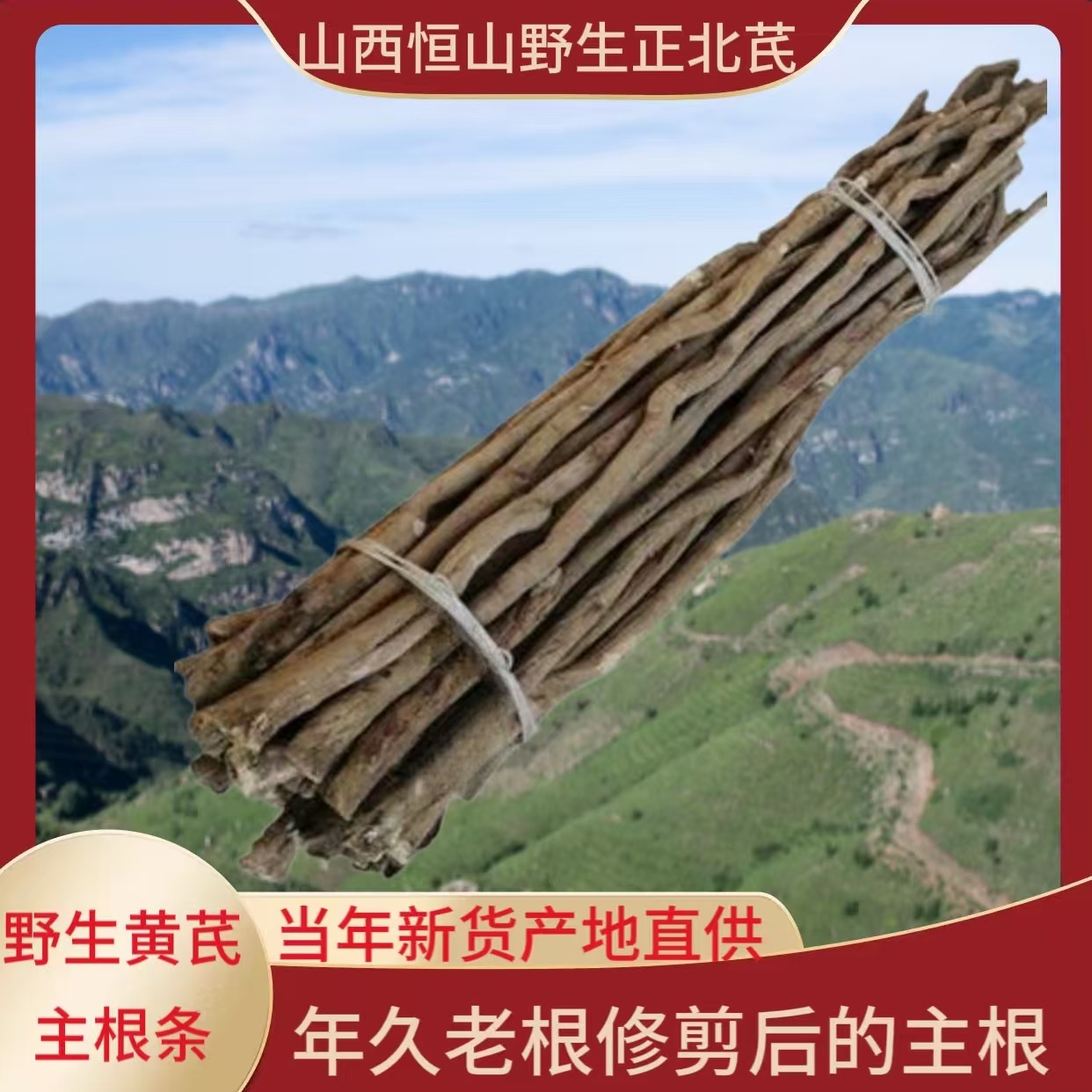 山西恒山野生黄芪特级中药材正品浑源纯天然无硫500g年久主根整条
