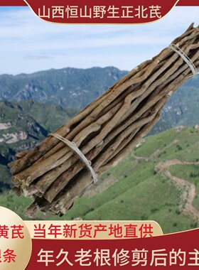 山西恒山野生正北芪年久主根整条