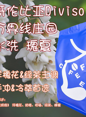 【Leo's Coffee】哥伦比亚Diviso分界线庄园瑰夏水洗花香咖啡豆