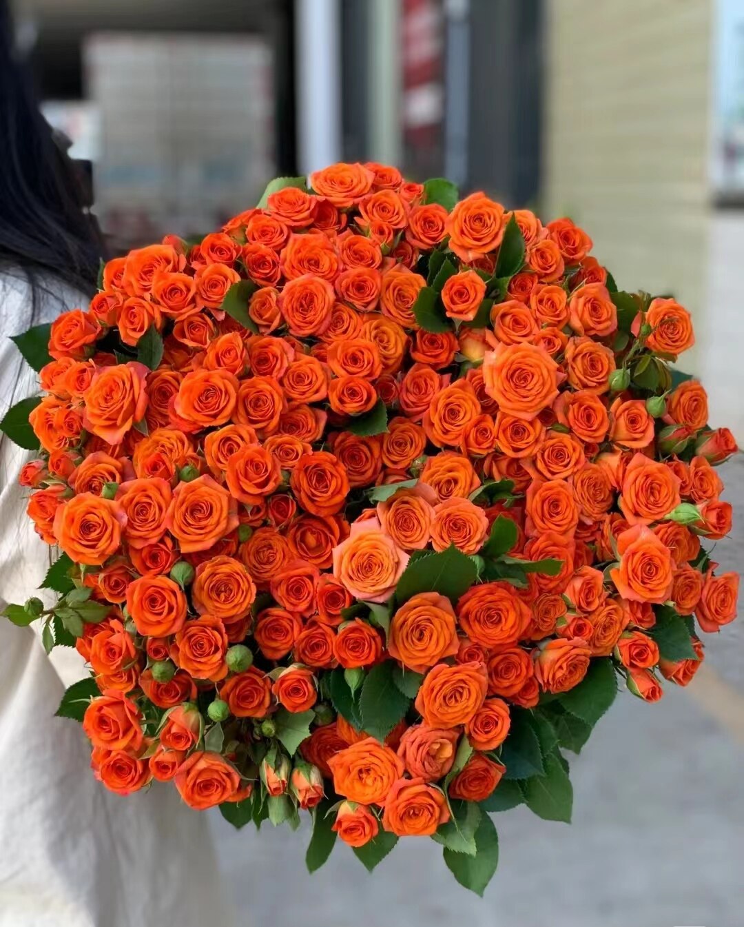 直播款高品质橙色芭比多头玫瑰云南基地鲜花冷链包邮节日花店