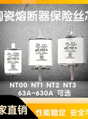 NT00熔断器陶瓷熔芯NT1NT2NT3 HR6 保险芯100A160A 200A 250A630A