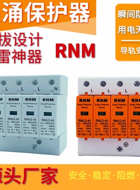 RNM二级浪涌保护器RMU2电源避雷器瞬间防雷器1P2P3P4P家用电涌