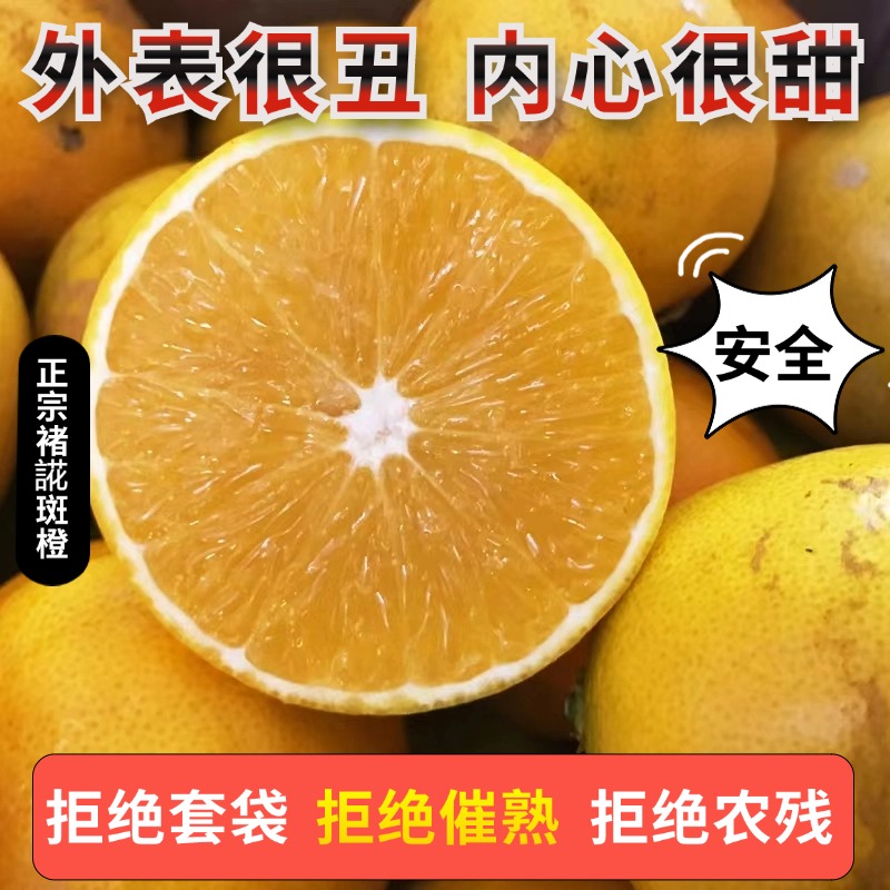 2025褚硕橙季哀牢山励志甜橙10斤