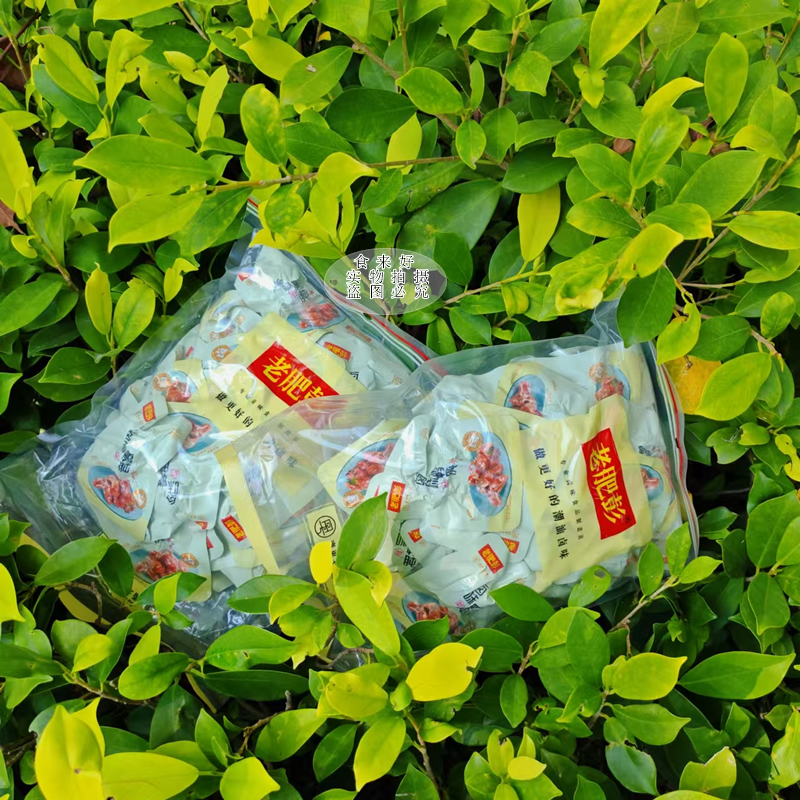 【包邮】潮汕老肥彭鸭肫鸭屯鸭健微辣500克 即食鸭零食独立包装