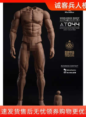 现货Worldbox1/6耐操男素体
