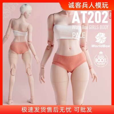1/6女素体肥腿升级版AT202pro