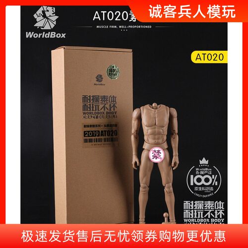 WorldBox AT020 兵人1/6男兵人素体耐操素体 HT头雕通用版  现货