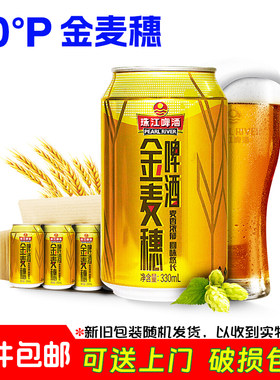 珠江金麦穗啤酒麦香四溢