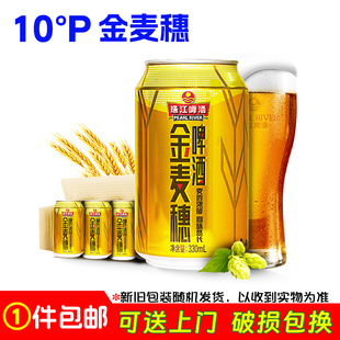 珠江啤酒 10°P金麦穗啤酒 330ml*24罐 整箱装 10度