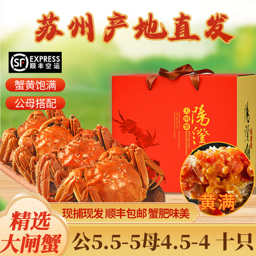 活蟹现货苏州特大大闸蟹鲜活螃蟹满黄母蟹5两10只公蟹5两河蟹礼盒