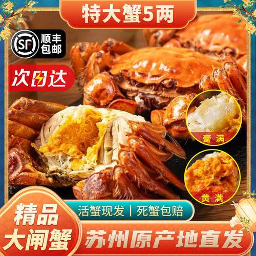 活蟹苏州精品官方阳澄大闸蟹鲜活特大螃蟹公蟹全母蟹4.0现货礼盒