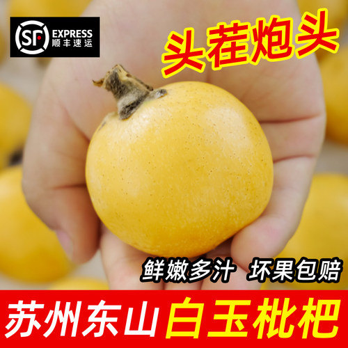 苏州东山白玉枇杷头茬5斤礼盒