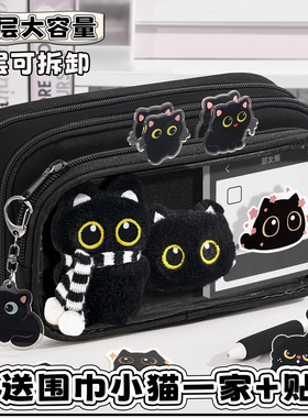 温馨小猫一家！可拆卸透明笔袋女生2026新款高颜值ins风大容量文具盒小学生女孩男生初中简约可爱痛包铅笔袋