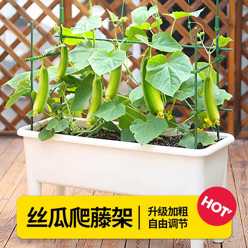 托架菜园造型花架子植物豆角爬瓜架蔬菜架室外花藤架杆西红柿