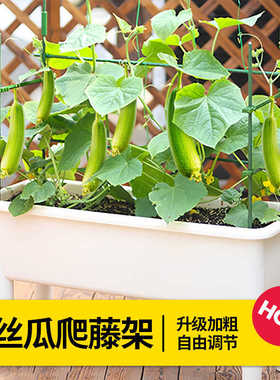 托架菜园造型花架子植物豆角爬瓜架蔬菜架室外花藤架杆西红柿