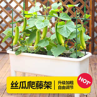 托架菜园造型花架子植物豆角爬瓜架蔬菜架室外花藤架杆西红柿