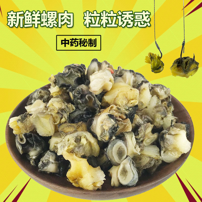 鲜螺肉钓鱼饵大串肉物巨螺丝黑鱼钩鲟鱼钩爆炸螺蛳鲤鱼鱼饵料青鱼,户外/登山/野营/旅行用品,台钓饵,淘宝优惠券,粉丝福利购,淘宝优惠卷