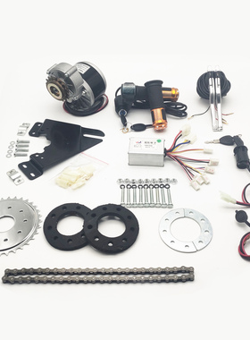 改装电动自行车配件套件左套件1016Z250W350W24V-36V直流减速电机