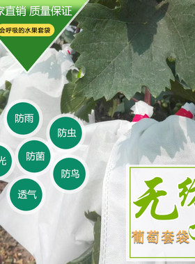 无纺布葡萄套袋防水防鸟防虫可露天使用透气水果套袋