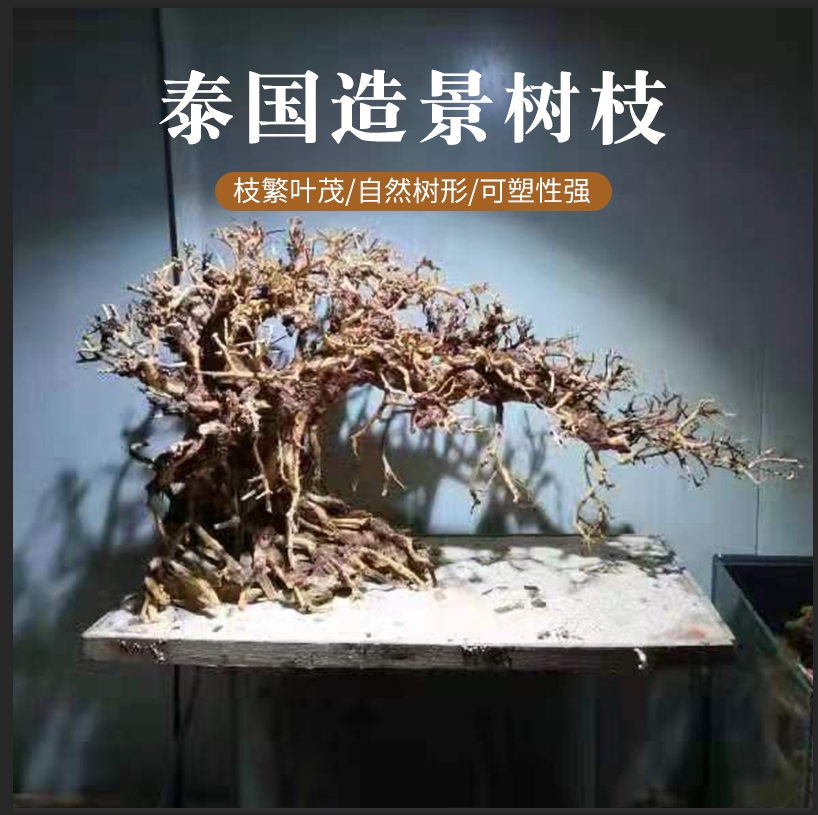 泰国枝造景树枝南美缸巴西莫斯树造景素材按斤随机