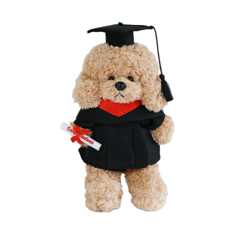 毕业公仔学士服小狗玩偶泰迪狗幼儿园硕士博士大学畢業礼物定制