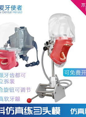 牙科练习头模可拆教学备牙树脂牙根管牙离体牙模简易口腔仿真头模