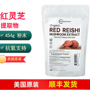 红灵芝提取物 粉末454g抗氧Micro Ingredients Reishi Mushroom
