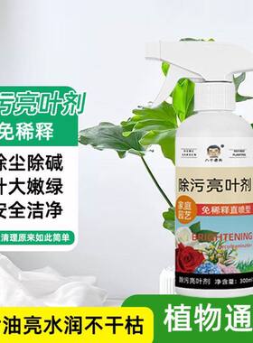 除污亮叶剂营养液叶面光亮剂花卉植物去污亮叶剂叶子清洗免稀释