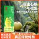 铁皮石斛雪梨健康养生元 气植物饮料整箱清润原材料熬制饮品