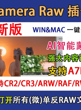 Camera Raw18.0滤镜安装包PS插件A7M4/A7R5/ARW/CR3/ACRF滤镜2025