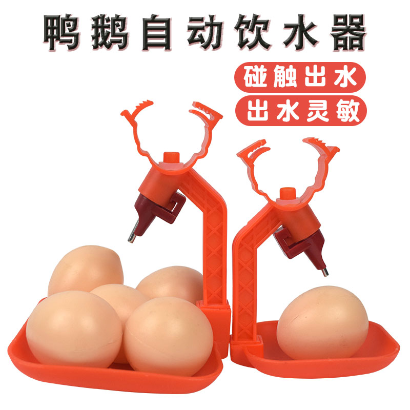 鸡鸭鹅喝水自动饮水器