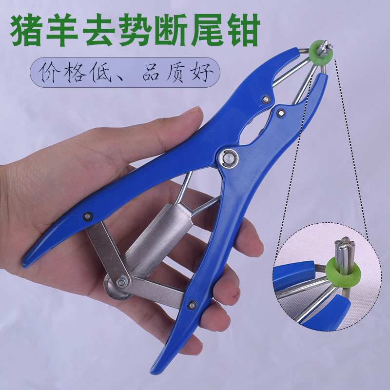 断尾钳羊用去势圈仔猪夹子
