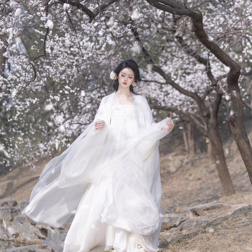 【定制】【霜雪全真丝】纯手工钉珠汉服纯白清冷白月光唐制齐胸