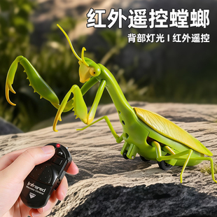 遥控电动螳螂仿真玩具创意恶搞整蛊搞怪神器会动的爬行小动物蟑螂