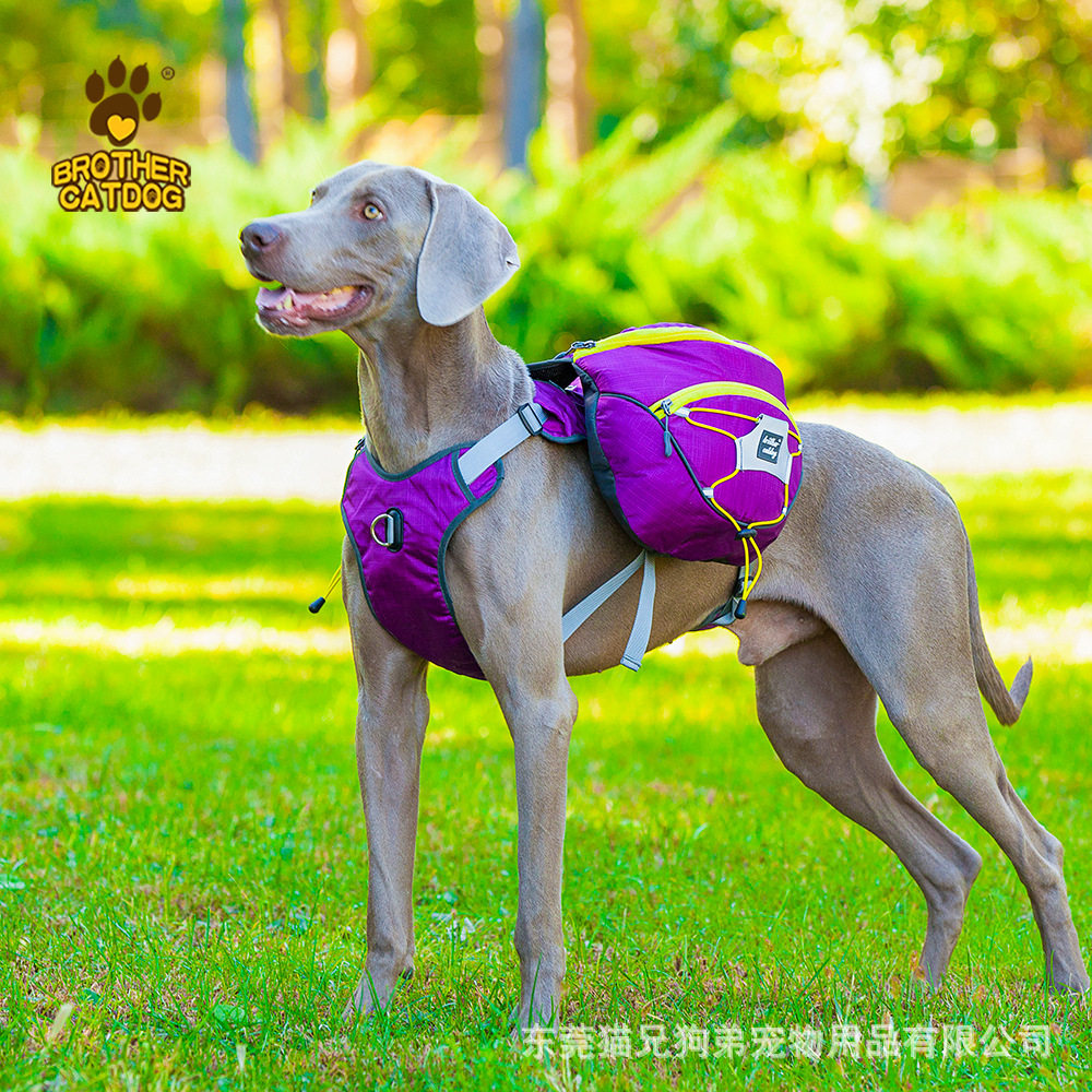 狗狗自背包大型犬金毛书包外出宠物狗背包牵引绳大狗背包