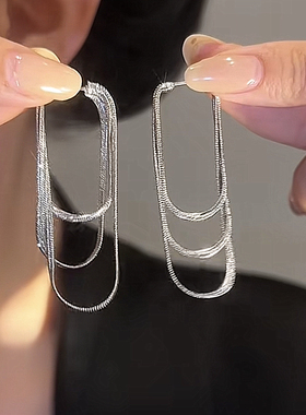 925银针耳饰精致轻奢简约百搭高级感气质设计长款ins流苏耳饰女