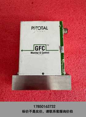 标价是空箱-PIOTAL 50SCCM 流量计议价