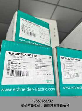 标价是空箱-BLRCS250A300B40 施耐德电容器，全新原装带包装议价