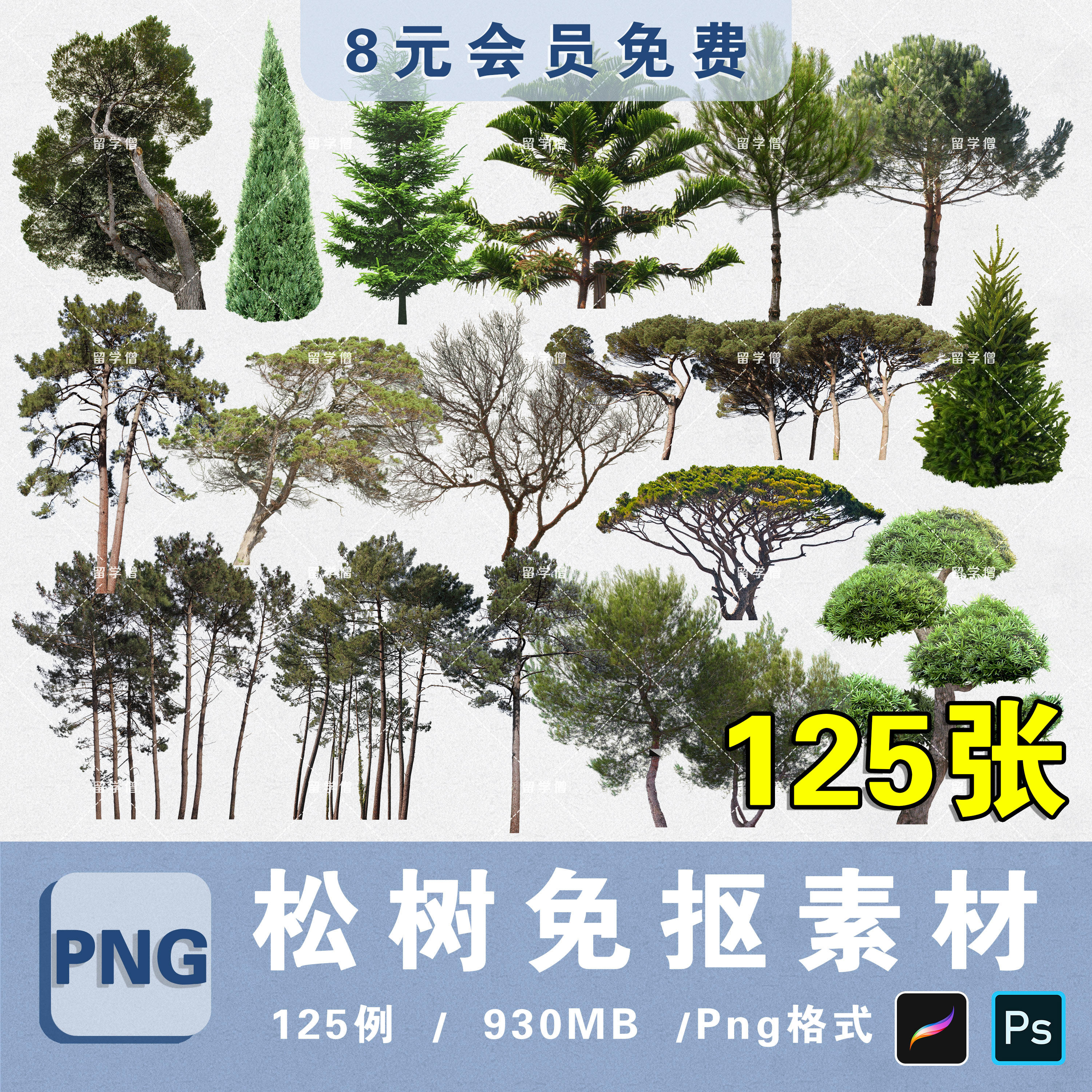 松树雪松马尾松樟子松雪松黑松巴山松高清png图片psd分层免抠素材