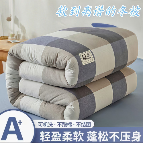 A类大豆被冬季保暖被芯