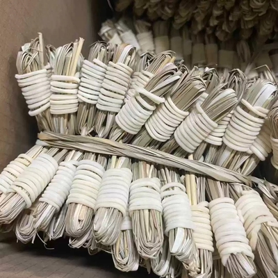 三伏清内热小儿灯心草100个儿童清火茶炖汤可配麦冬煲凉茶煲甜品
