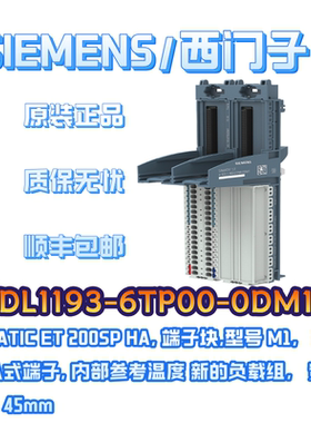 6DL1193-6TP00-0DM1嵌入式端子ET200SP HA西门子PLC控制器模块