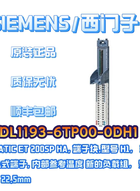 6DL1193-6TP00-0DH1嵌入式端子ET 200SPHA西门子PLC控制器模块