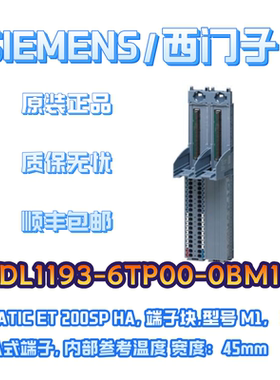6DL1193-6TP00-0BM1嵌入式端子ET200SP HA西门子PLC控制器模块