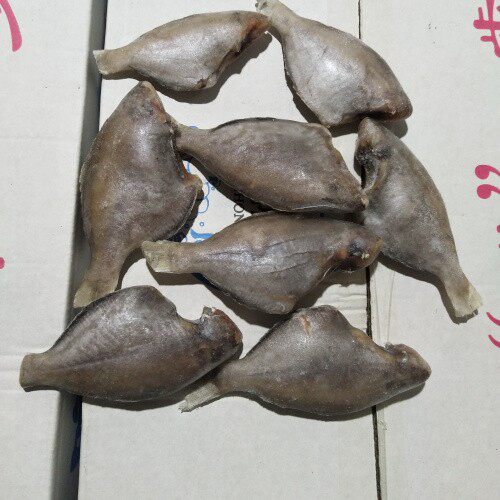 新鲜冷冻水产三去香鱼整箱包冰12斤50/60条左右另售青条鱼秋刀鱼