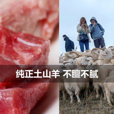 环县羊羔肉全羊整只羊