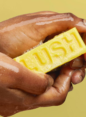 lush洗护合一中干性强韧